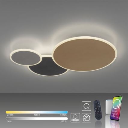 Paul Neuhaus 8007-70 - LED Hämardatav laevalgusti Q-PIATO LED/35W/230V 2700-5000K Wi-Fi + kaugjuhtimispult