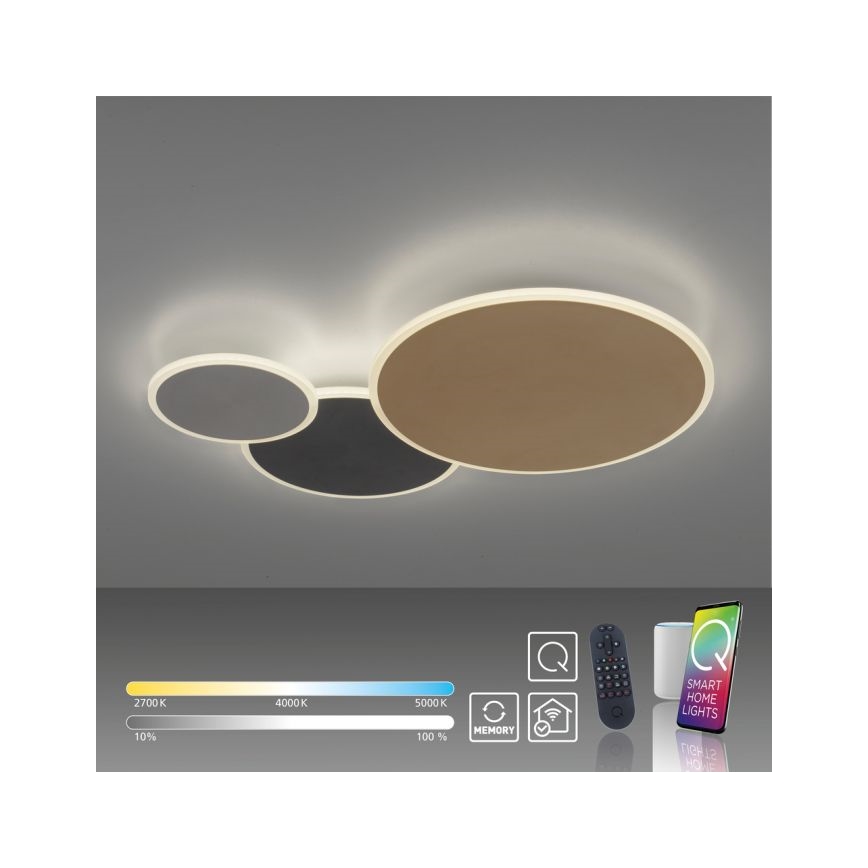 Paul Neuhaus 8007-70 - LED Hämardatav laevalgusti Q-PIATO LED/35W/230V 2700-5000K Wi-Fi + kaugjuhtimispult