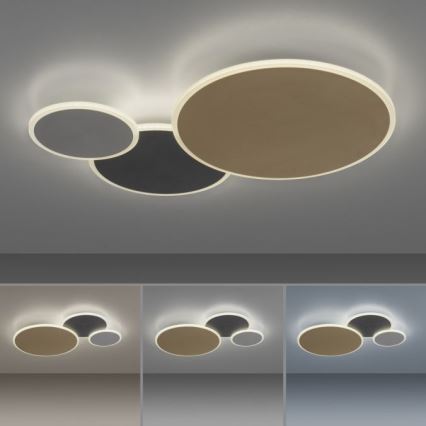 Paul Neuhaus 8007-70 - LED Hämardatav laevalgusti Q-PIATO LED/35W/230V 2700-5000K Wi-Fi + kaugjuhtimispult