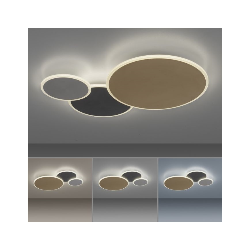 Paul Neuhaus 8007-70 - LED Hämardatav laevalgusti Q-PIATO LED/35W/230V 2700-5000K Wi-Fi + kaugjuhtimispult
