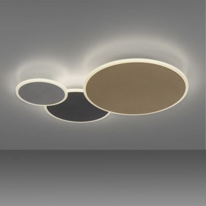 Paul Neuhaus 8007-70 - LED Hämardatav laevalgusti Q-PIATO LED/35W/230V 2700-5000K Wi-Fi + kaugjuhtimispult