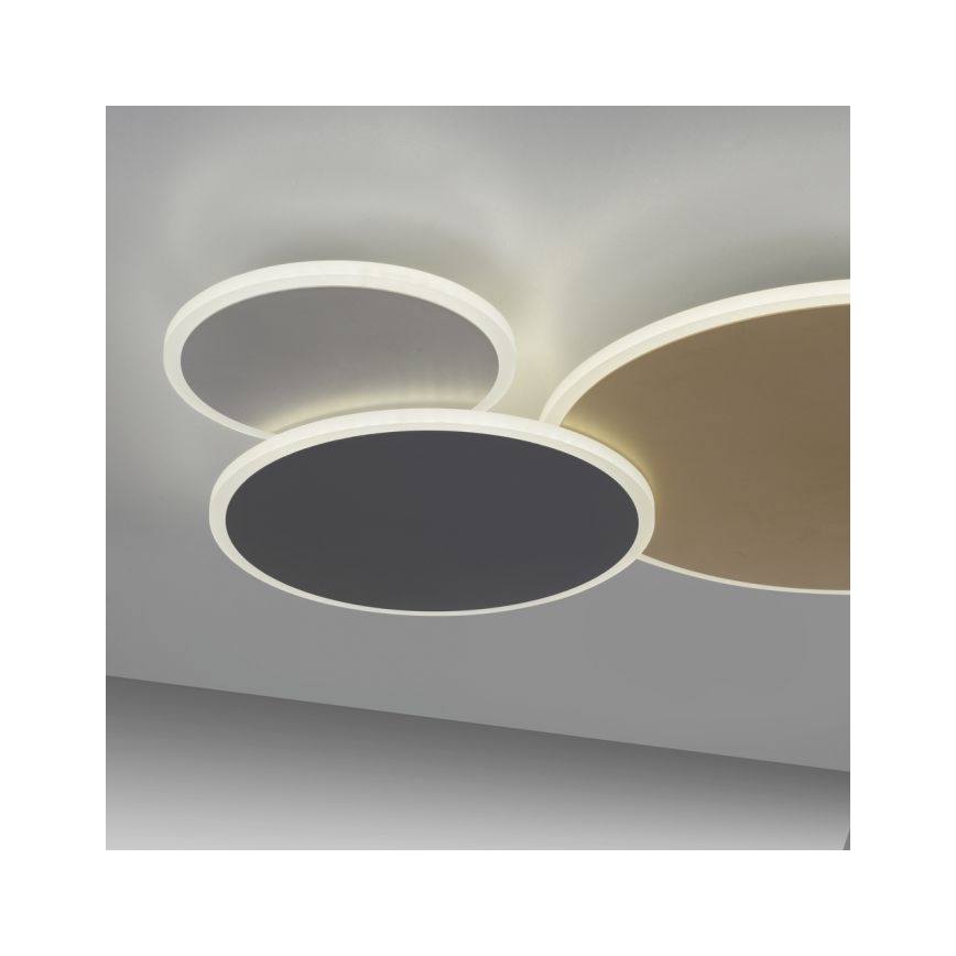 Paul Neuhaus 8007-70 - LED Hämardatav laevalgusti Q-PIATO LED/35W/230V 2700-5000K Wi-Fi + kaugjuhtimispult