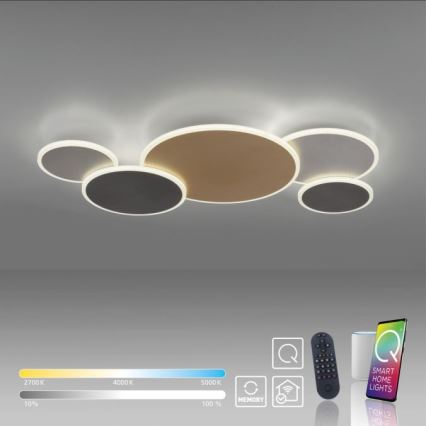 Paul Neuhaus 8008-70 - LED Hämardatav laevalgusti Q-PIATO LED/49W/230V 2700-5000K Wi-Fi + kaugjuhtimispult