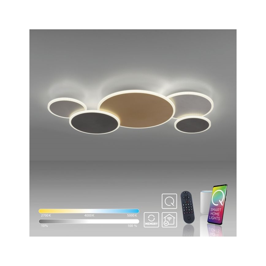 Paul Neuhaus 8008-70 - LED Hämardatav laevalgusti Q-PIATO LED/49W/230V 2700-5000K Wi-Fi + kaugjuhtimispult