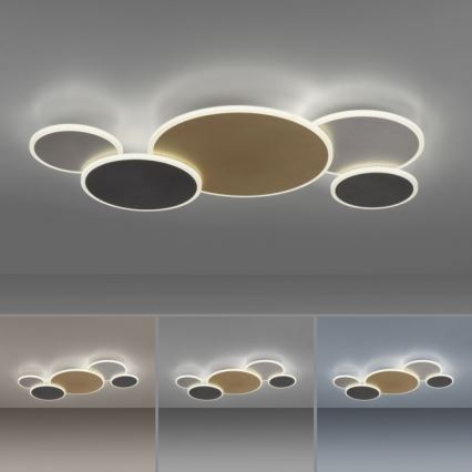 Paul Neuhaus 8008-70 - LED Hämardatav laevalgusti Q-PIATO LED/49W/230V 2700-5000K Wi-Fi + kaugjuhtimispult