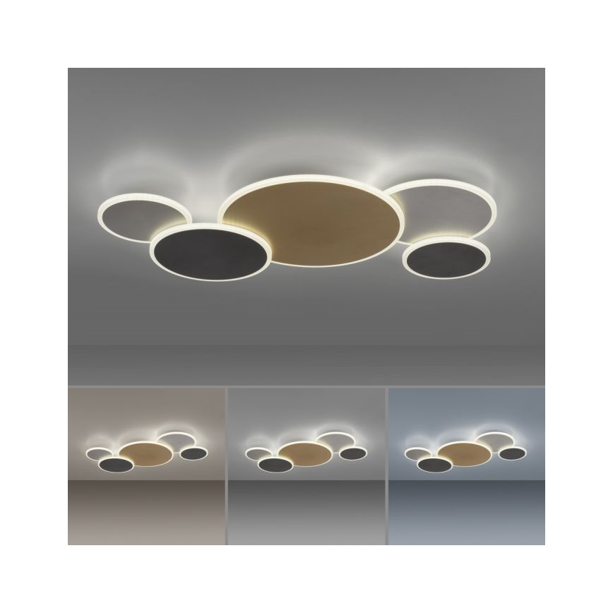 Paul Neuhaus 8008-70 - LED Hämardatav laevalgusti Q-PIATO LED/49W/230V 2700-5000K Wi-Fi + kaugjuhtimispult