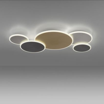 Paul Neuhaus 8008-70 - LED Hämardatav laevalgusti Q-PIATO LED/49W/230V 2700-5000K Wi-Fi + kaugjuhtimispult