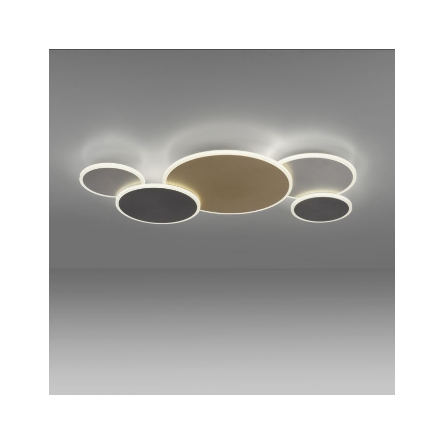 Paul Neuhaus 8008-70 - LED Hämardatav laevalgusti Q-PIATO LED/49W/230V 2700-5000K Wi-Fi + kaugjuhtimispult