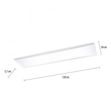 Paul Neuhaus 8112-17 - LED Hämardatav pinnale paigaldatav paneel FLAG LED/35W/230V