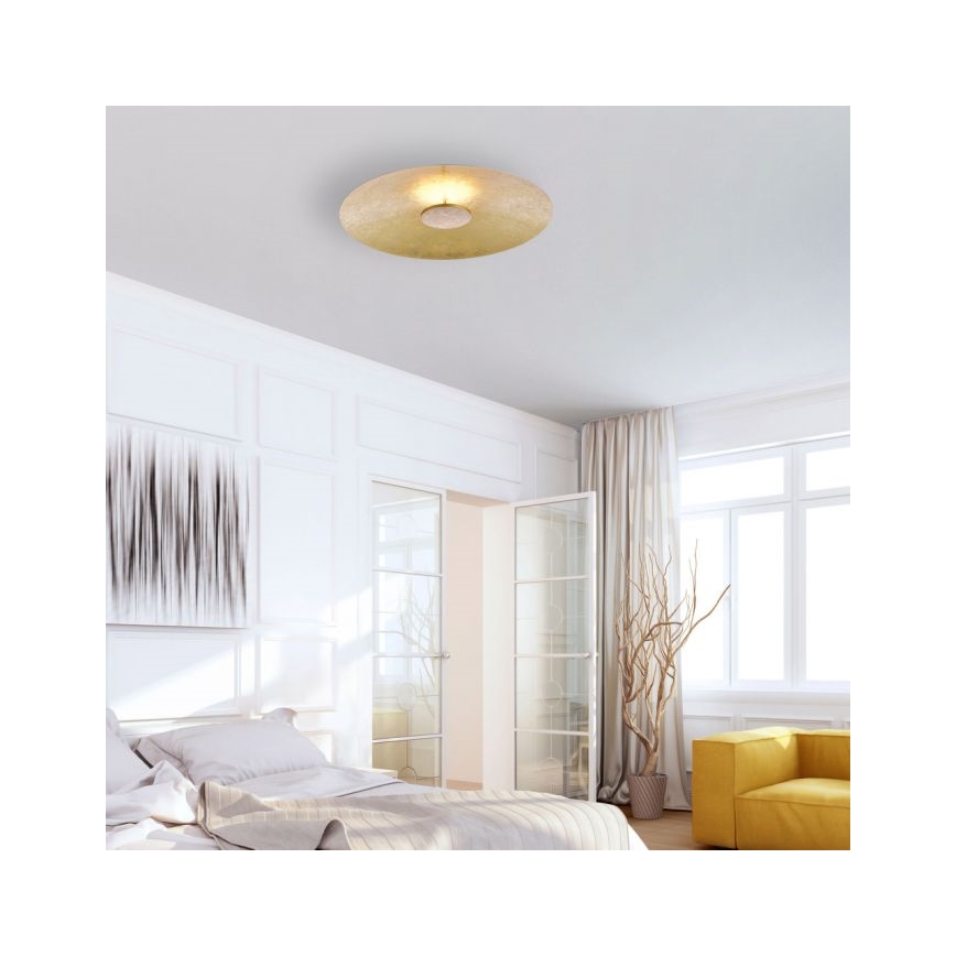 Paul Neuhaus 8132-12 - LED Hämardatav laevalgusti PLATE LED/25W/230V