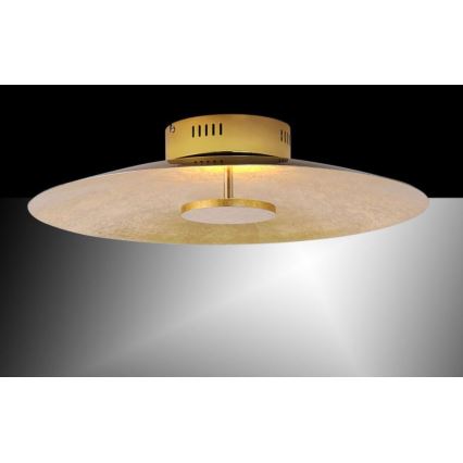 Paul Neuhaus 8132-12 - LED Hämardatav laevalgusti PLATE LED/25W/230V