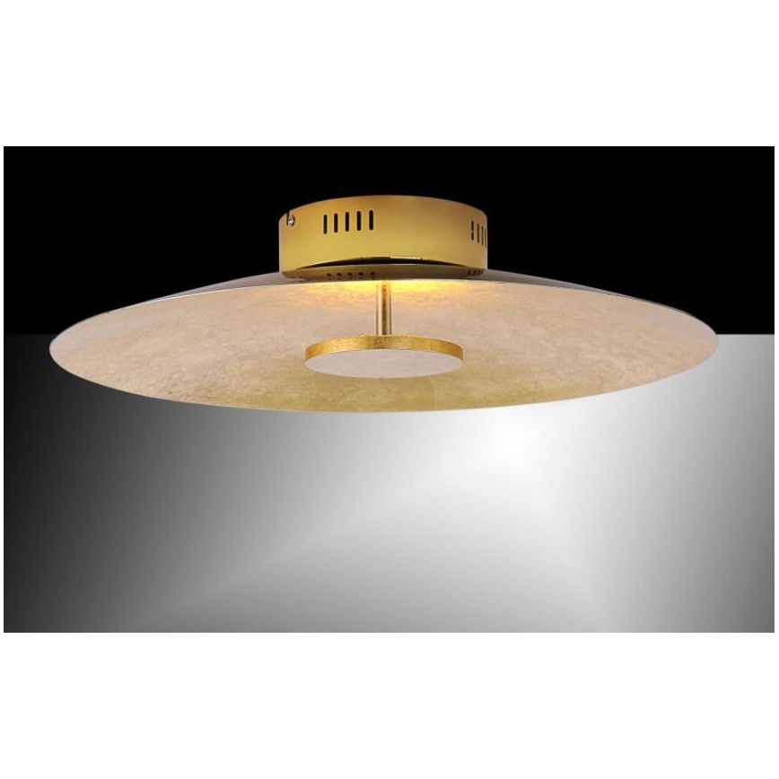 Paul Neuhaus 8132-12 - LED Hämardatav laevalgusti PLATE LED/25W/230V