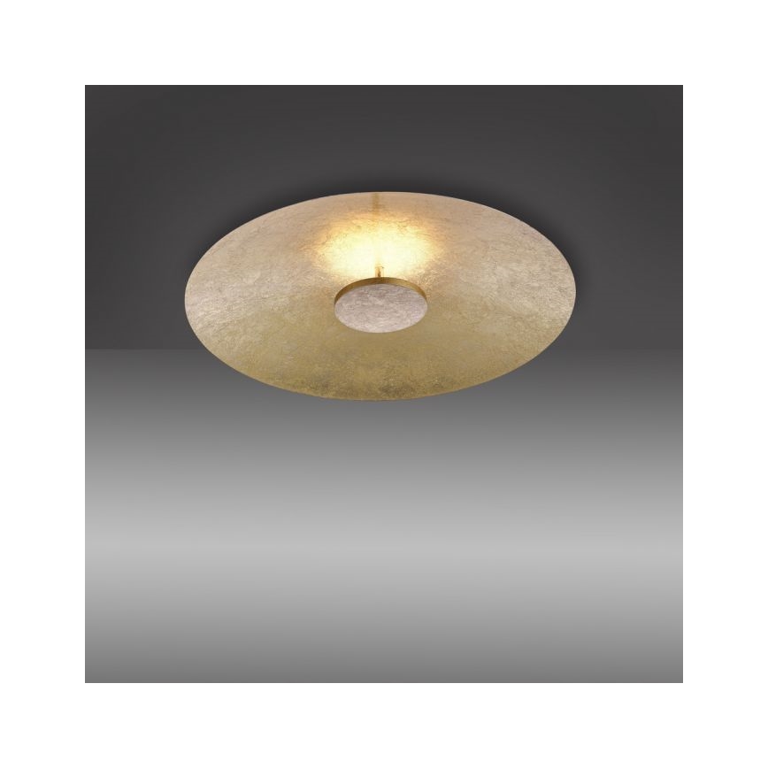 Paul Neuhaus 8132-12 - LED Hämardatav laevalgusti PLATE LED/25W/230V