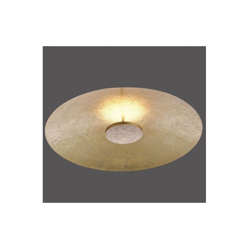 Paul Neuhaus 8132-12 - LED Hämardatav laevalgusti PLATE LED/25W/230V