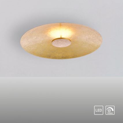 Paul Neuhaus 8132-12 - LED Hämardatav laevalgusti PLATE LED/25W/230V