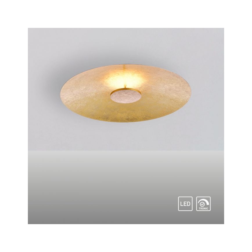 Paul Neuhaus 8132-12 - LED Hämardatav laevalgusti PLATE LED/25W/230V