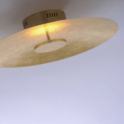 Paul Neuhaus 8132-12 - LED Hämardatav laevalgusti PLATE LED/25W/230V