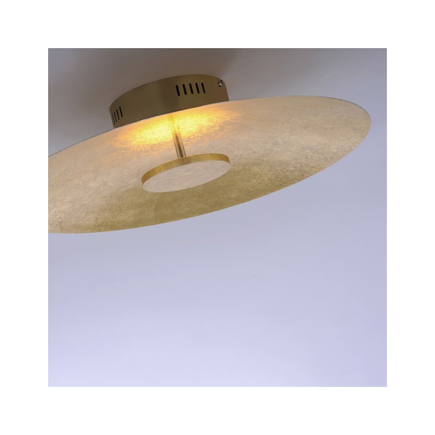 Paul Neuhaus 8132-12 - LED Hämardatav laevalgusti PLATE LED/25W/230V