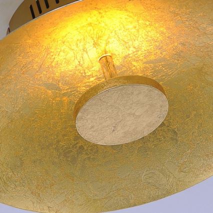 Paul Neuhaus 8132-12 - LED Hämardatav laevalgusti PLATE LED/25W/230V