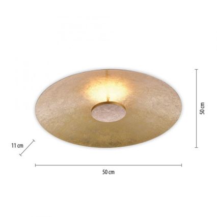 Paul Neuhaus 8132-12 - LED Hämardatav laevalgusti PLATE LED/25W/230V