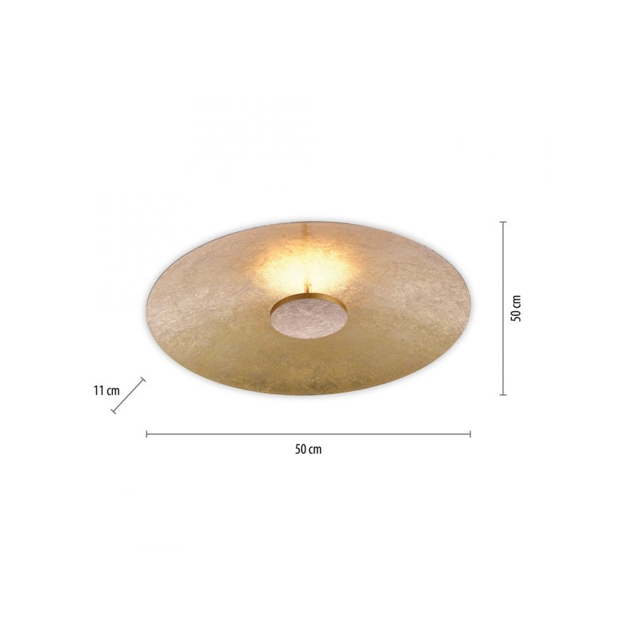 Paul Neuhaus 8132-12 - LED Hämardatav laevalgusti PLATE LED/25W/230V