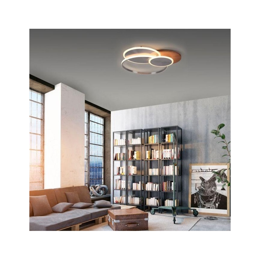 Paul Neuhaus 8328-79 - LED Hämardatav laevalgusti PALMA LED/50W/230V 2700-5000K mänd + kaugjuhtimispult