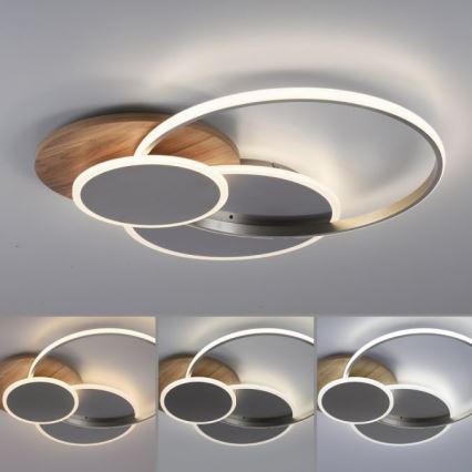 Paul Neuhaus 8328-79 - LED Hämardatav laevalgusti PALMA LED/50W/230V 2700-5000K mänd + kaugjuhtimispult