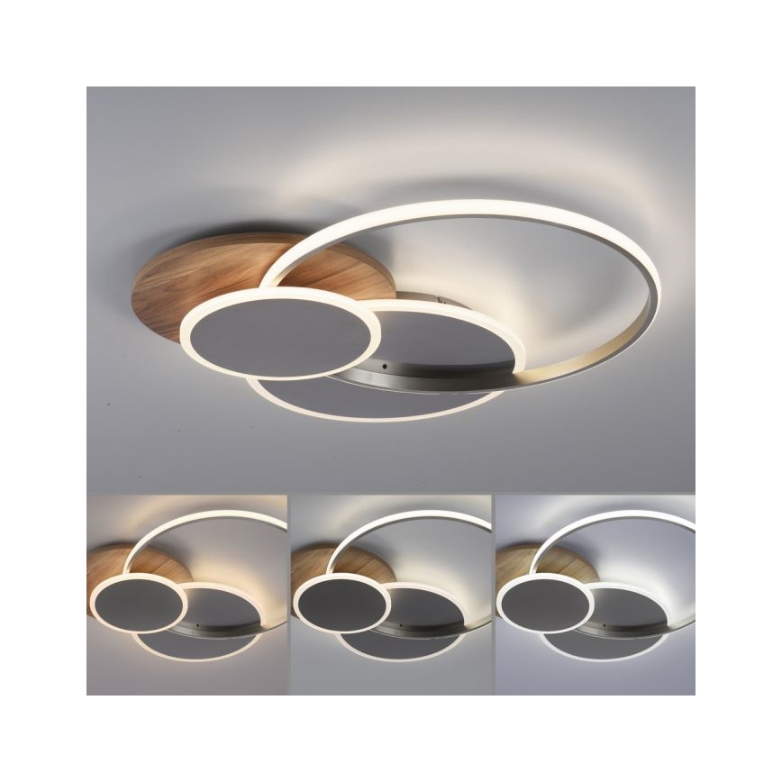 Paul Neuhaus 8328-79 - LED Hämardatav laevalgusti PALMA LED/50W/230V 2700-5000K mänd + kaugjuhtimispult