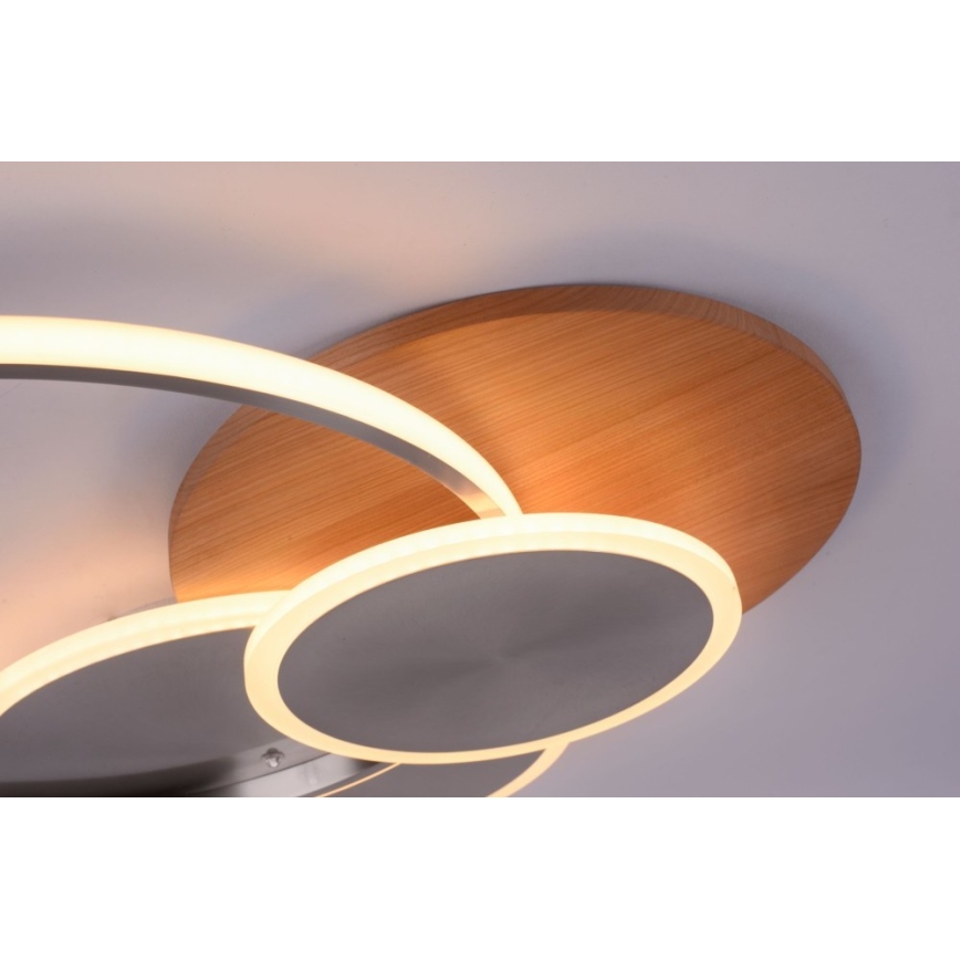Paul Neuhaus 8328-79 - LED Hämardatav laevalgusti PALMA LED/50W/230V 2700-5000K mänd + kaugjuhtimispult