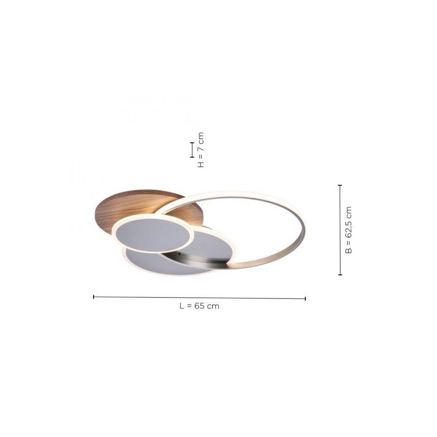 Paul Neuhaus 8328-79 - LED Hämardatav laevalgusti PALMA LED/50W/230V 2700-5000K mänd + kaugjuhtimispult