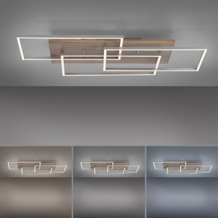 Paul Neuhaus 8330-79 - LED Hämardatav pinnale kinnitatav lühter PALMA 3xLED/12W/230V mänd + kaugjuhtimispult