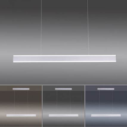 Paul Neuhaus 8363-55 - LED Hämardatav lühter ARINA LED/20W/230V