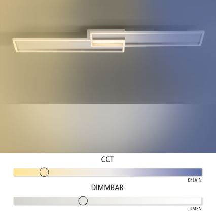 Paul Neuhaus 8371-55 - LED Hämardatav laevalgusti AMARA LED/40W/230V + Pult