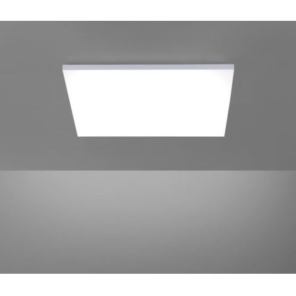 Paul Neuhaus 8492-16 - LED Hämardatav pinnale paigaldatav paneel FRAMELESS LED/35W/230V + Pult