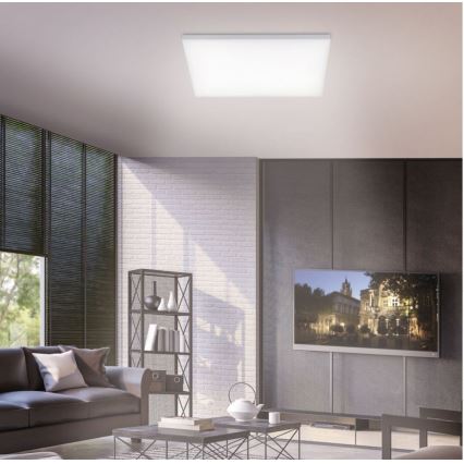 Paul Neuhaus 8492-16 - LED Hämardatav pinnale paigaldatav paneel FRAMELESS LED/35W/230V + Pult