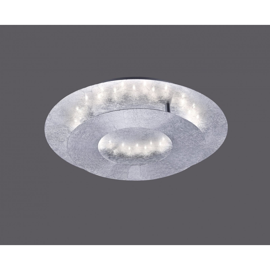 Paul Neuhaus 9011-21 - LED Laevalgusti NEVIS LED/6W/230V hõbe