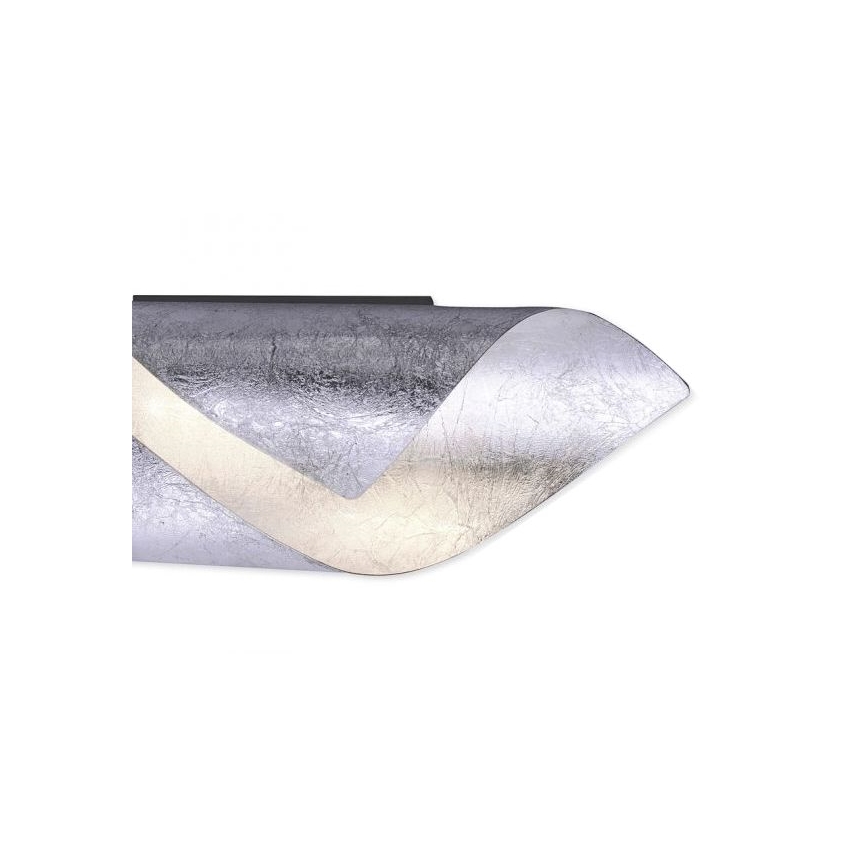 Paul Neuhaus 9030-21 - LED Seinavalgusti NEVIS LED/6W/230V hõbe