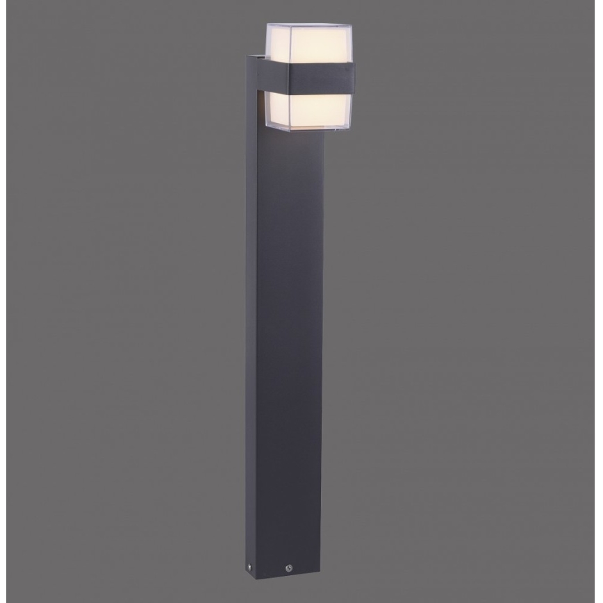 Paul Neuhaus 9481-13 - LED Välivalgusti CARA LED/8W/230V IP44