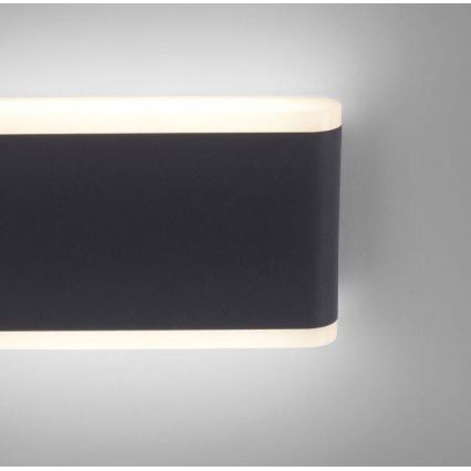 Paul Neuhaus 9483-13 - LED Väli seinavalgusti ELSA 2xLED/5,4W/230V IP65