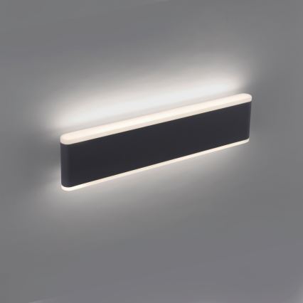 Paul Neuhaus 9484-13 - LED Väli hämardatav seinavalgusti ELSA 2xLED/9W/230V IP65