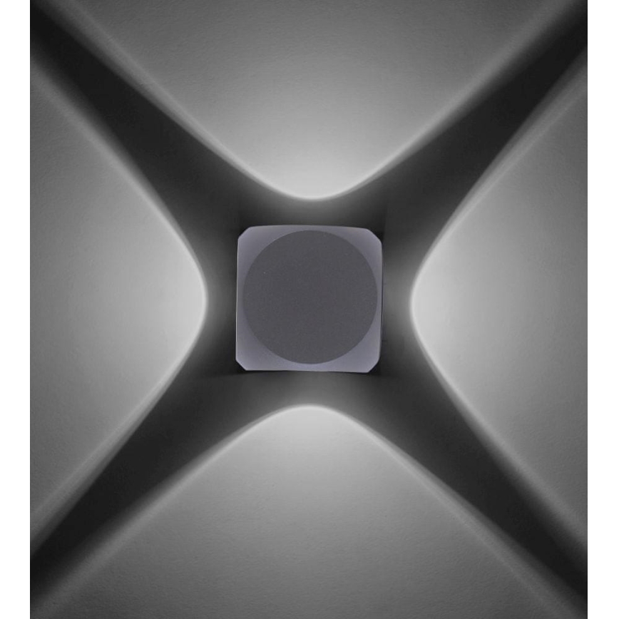 Paul Neuhaus 9485-21 - LED Väli seinavalgusti CARLO 4xLED/0,8W/230V IP54