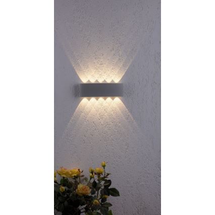 Paul Neuhaus 9489-21- LED Väli seinavalgusti CARLO 10xLED/0,8W/230V IP54