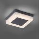 Paul Neuhaus 9491-13 - LED Välivalgusti FABIAN LED/12,6W/230V IP54
