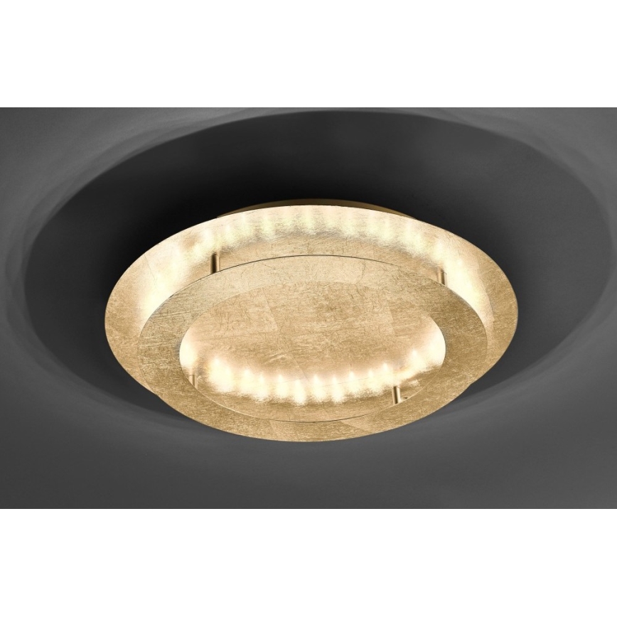 Paul Neuhaus 9621-12 - LED Laevalgusti NEVIS LED/24W/230V