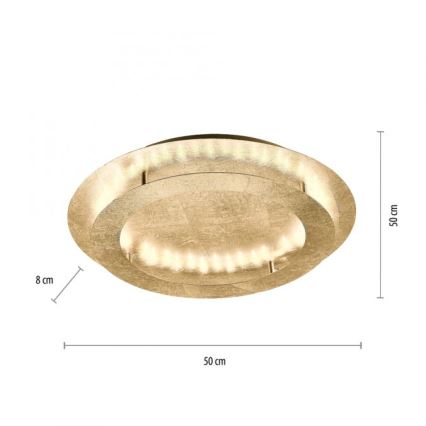 Paul Neuhaus 9621-12 - LED Laevalgusti NEVIS LED/24W/230V