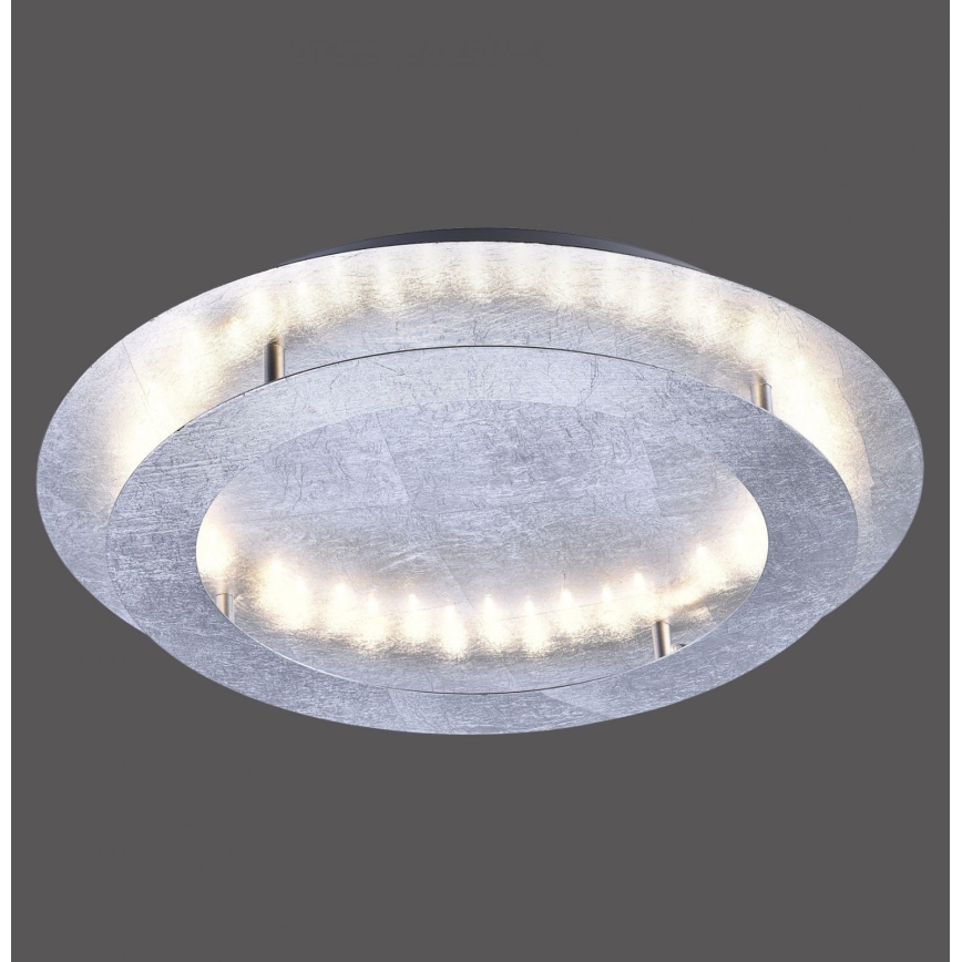 Paul Neuhaus 9621-21 - LED Laevalgusti NEVIS LED/24W/230V