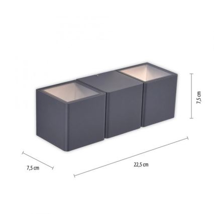 Paul Neuhaus 9658-13 - LED Väli seinavalgusti MARCEL 2xLED/4W/230V IP54
