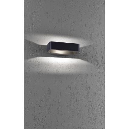 Paul Neuhaus 9668-13 - LED Väli seinavalgusti HENDRIK LED/5,2W/230V IP54