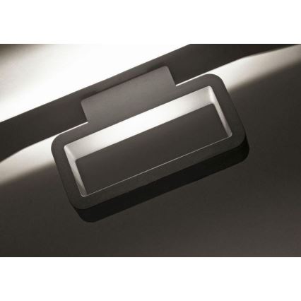 Paul Neuhaus 9668-13 - LED Väli seinavalgusti HENDRIK LED/5,2W/230V IP54