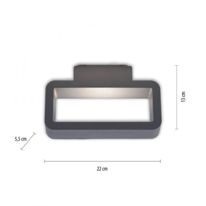 Paul Neuhaus 9668-13 - LED Väli seinavalgusti HENDRIK LED/5,2W/230V IP54
